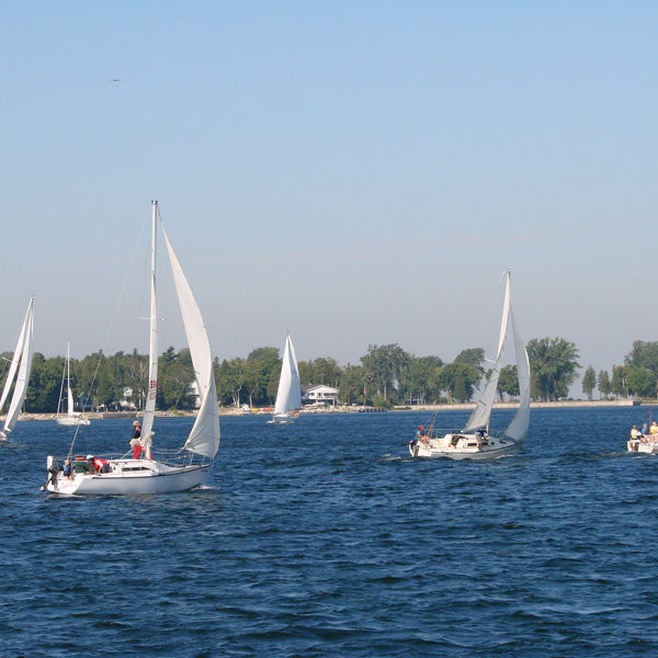 Sailboats in the Water